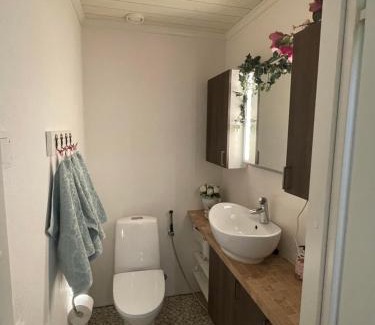Lahti Apartamento | Upea huoneisto kaupungissa, A magnificent apartment in downtown Lahti