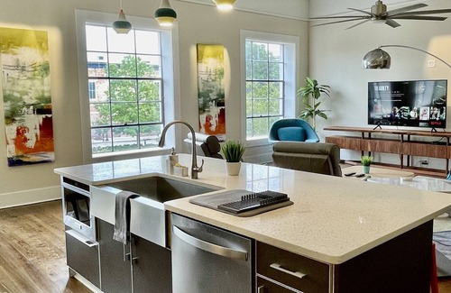 Macon Condominio | Upscale Downtown Luxury Penthouse with PARKING
