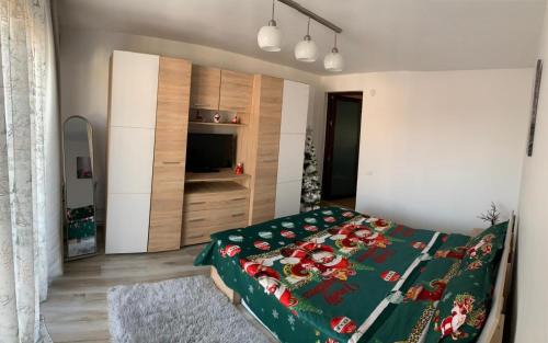 Tirgu Jiu Casa | Upstairs Residence