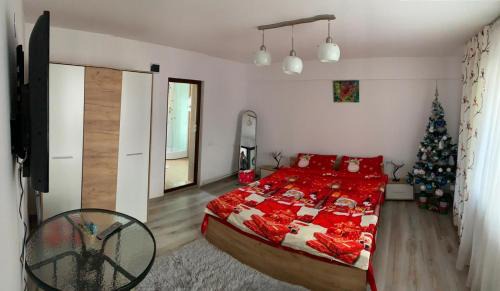 Tirgu Jiu Casa | Upstairs Residence