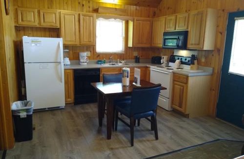 Gatlinburg Chalet De Esquí | Urban Escape - 1BR King Cabin