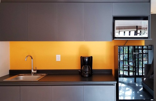 Chapultepec Sur Apartamento | LOFT URBANO CERCA DEL CENTRO