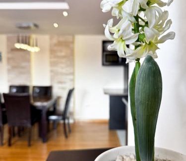 Cuenca Apartamento | Urban Viewpoint Your City Refuge and Garage