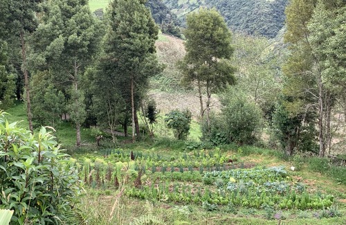 Banos de Agua Santa Cabina | URKU ALLIPACHA Mountain Retreat w/ Organic Garden