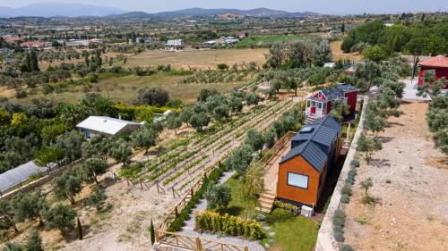 Kuscular Casa | Urlachi Çiftliği