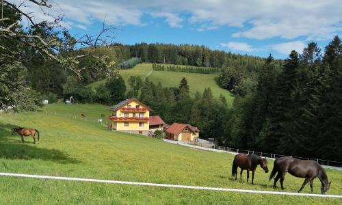 Sonnhofen Casa | Urlaub am Bauernhof Familie Kitting
