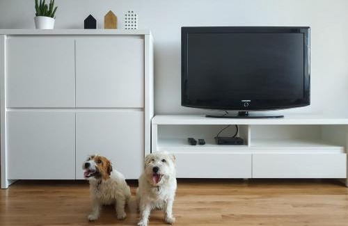 Wadowice Apartamento | Uroczy Apartament Pod Skarpą