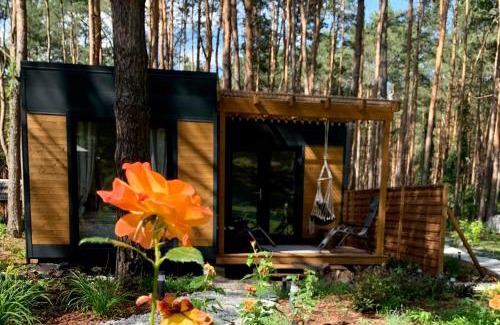 Radzymin Casa | Uroczy mały domek na leśnej działce - Łosiówka
