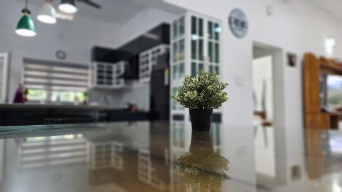 Udumbanchola Apartamento | Uthuppan's first floor 2brm