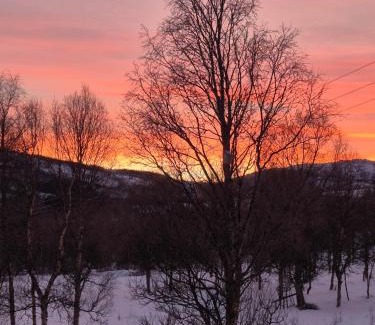 Nordreisa Casa | Utsikten Feriehus i Bakkeby