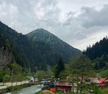Uzungol Hotel | Uzungol Soylu Hotel