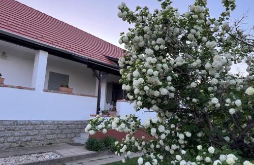 Komlo Apartamento | VándorLÓ Vendégház