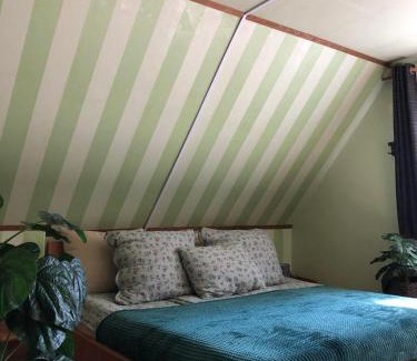 Szanazug Apartamento | Váradi Vendégház