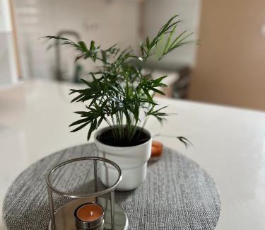Kaposvar Apartamento | Vörösmarty Deluxe Belváros