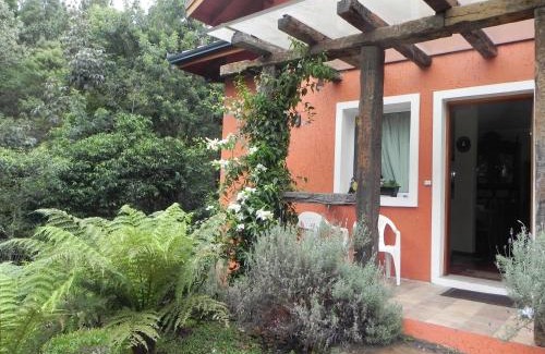 Gramado Apartamento | V do Lago Negro