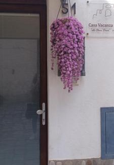 Grottole Casa | Vacanza alla Chiesa Diruta