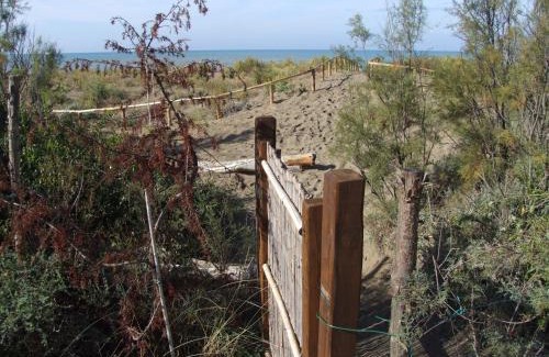 Val Canina Casa | Vacanze Toscane In The Country - Villa Agrifogli