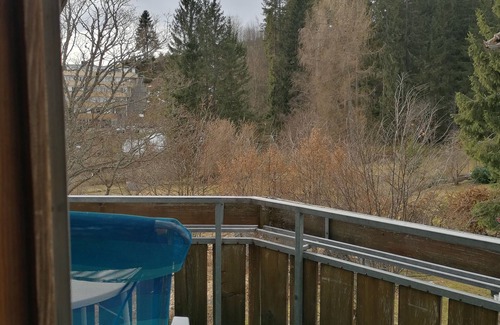 Schoenwald Apartamento | Vacation apartment/apartment for 3 guests with 55m² in Schönwald in the Black Forest (168521)