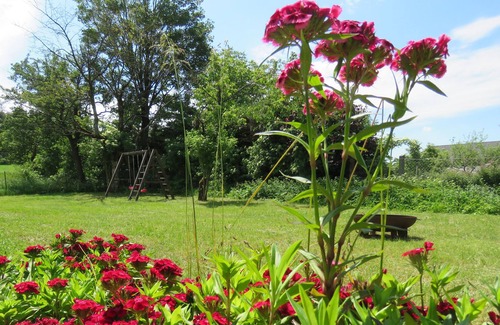 Klaffer am Hochficht Apartamento | holiday apartment/apt. for 2 guests with 15m² in Klaffer am Hochficht (147991)