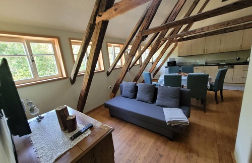 Seifhennersdorf Apartamento | Vacation apartment/apartment for 7 guests with 48m² in Seifhennersdorf (273065)