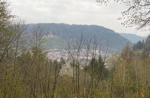 Bad Liebenzell Apartamento | Vacation apartment/apartment for 3 guests with 60m² in Bad Liebenzell (186299)