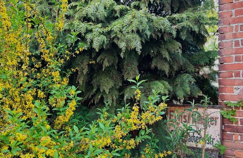 Neupetershain Nord Apartamento | Vacation apartment Schusterhaus - Ferienhof Welz