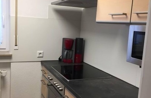 Villingendorf Apartamento | holiday apartment/apt. for 3 guests with 45m² in Villingendorf (143260)