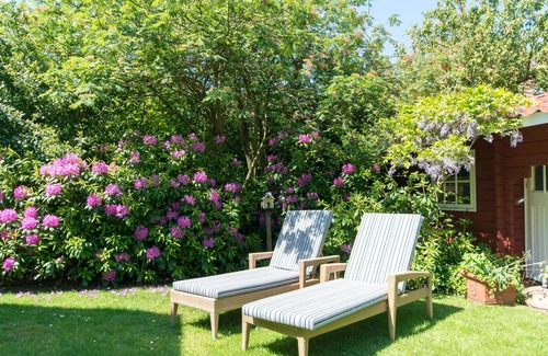 Spiekeroog Apartamento | Vacation apartment/apartment for 2 guests with 40m² in Spiekeroog (149931)