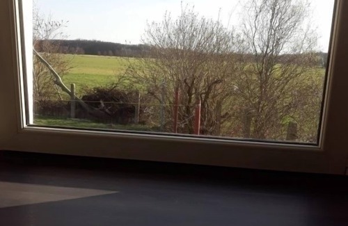 Schonwald Apartamento | holiday apartment/apt. for 7 guests with 85m² in Schönwald (172851)