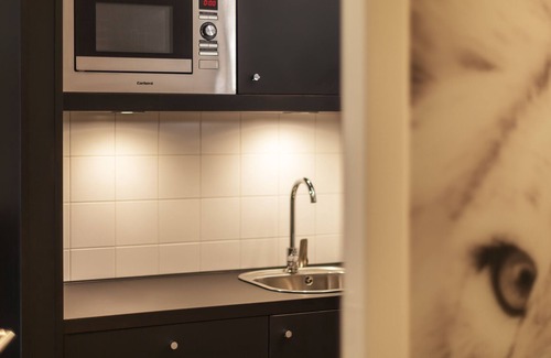 Mitte Apartamento | holiday apartment/apt. for 3 guests with 26m² in Nuremberg (158015)
