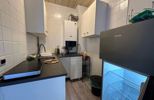 Fuerth Apartamento | Vacation apartment/apartment for 4 guests with 40m² in Fürth (250486)