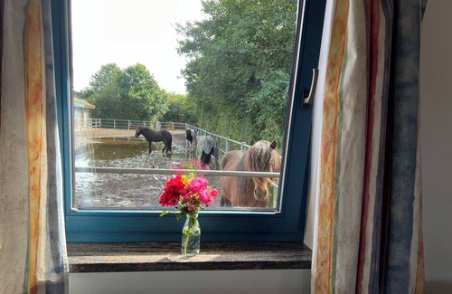 Osterby Apartamento | Vacation apartment Isi-Blick for 4 up to persons - riding vacation