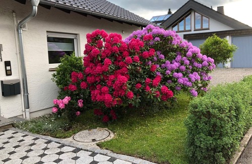 Unterkirnach Apartamento | Vacation apartment Schwarzwaldhirsch, 45sqm, 1 bedroom, max. 4 persons