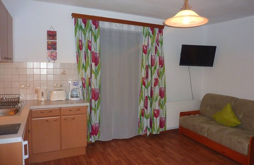 Kleinarl Apartamento | Vacation apartment DIRECTLY at the lift in the Ski Amadé - Haus Daniel Schartner Kleinarl