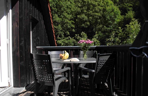 Ilsenburg Apartamento | Vacation apartment Forsthaus am Brocken, 55 sqm, 2 bedrooms F7