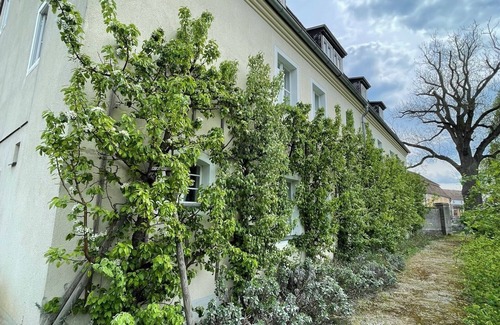 Furstlich Drehna Apartamento | Vacation apartment Minkwitz in the nursery house in Fürstlich Drehna