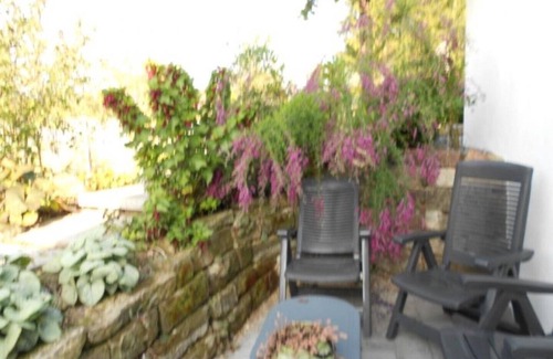 Keskastel Apartamento | Vacation apartment no. 1 - Holiday apartments in Alsace