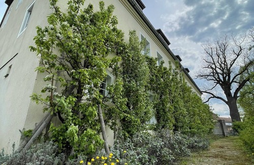 Furstlich Drehna Apartamento | Vacation apartment Wätjen in the nursery house in Fürstlich Drehna