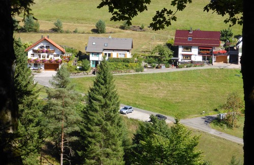 Baiersbronn Apartamento | 'el pequeño paraíso de vacaciones' 4 Feel Wo-Wo. -TALBLICK- único orientado al sur, tranquilo