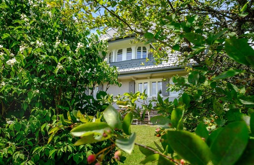 Feldberg Casa | Vacation home for 10 guests with 150m² in Feldberg (Black Forest) (127361)