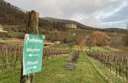 Weyher in der Pfalz Casa | Vacation home Pfälzer Wald Weyher - Southern Wine Route - with garden