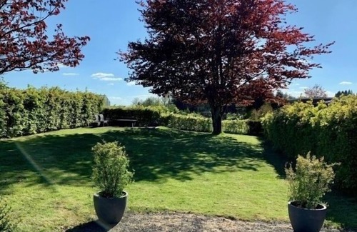 Neuastenberg Casa | Vacation home for 24 guests with 295m² in Winterberg (147381)