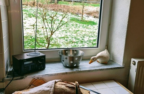 Schutz Casa | Vacation home Forellennest am Waldrand - 6-bed vacation home, 2x bath/WC, 3