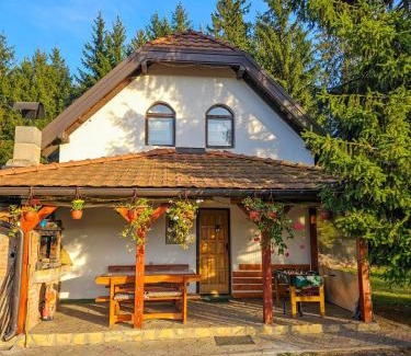 Beserovina Casa | Vacation home Miki