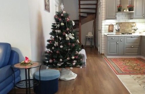 Pushkinskiye Gory Casa | Vacation House Petrovskoye 28