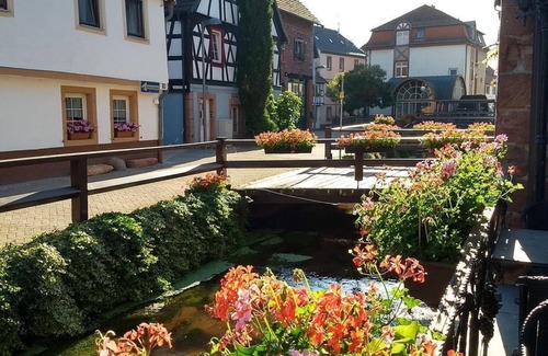 Annweiler am Trifels Apartamento | Vacation in Annweiler - 4-bed apartment