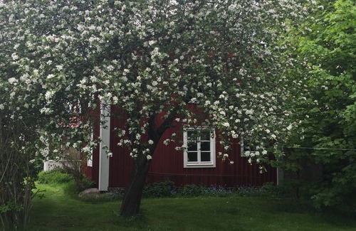 Hogsby Casa | Vacaciones en Småland en una casa típica sueca con Geschichte🇸🇪