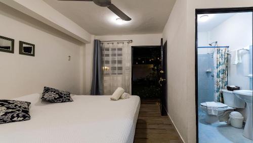 Colonia Adolfo Lopez Mateos Apartamento | Vacation Rental - Standard Room at Casa Cocoa