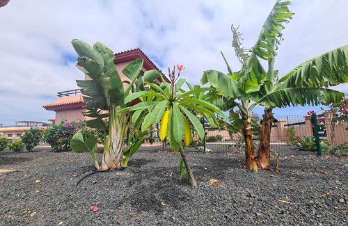 La Oliva Villa | Fuerteventura Origo Mare Casa 3P - Sólo Adultos