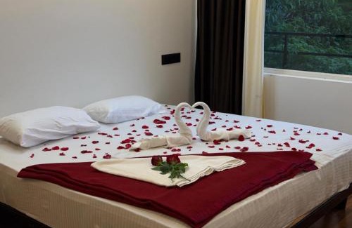 Elappara Casa | Vagamon Hill Casa Holiday Home